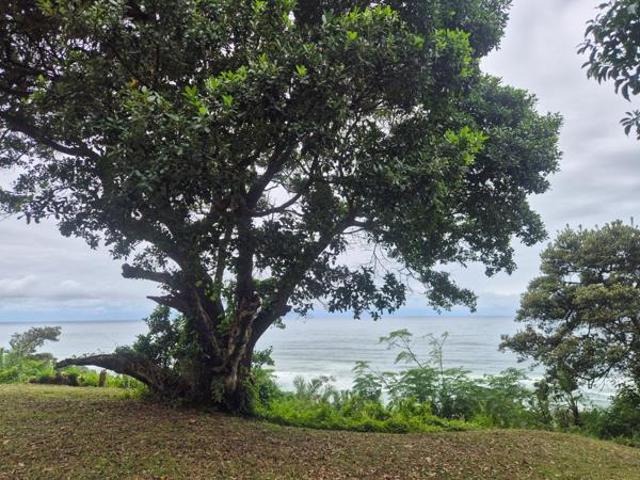 Land for sale in Ugu District Municipality, Kwazulu-natal