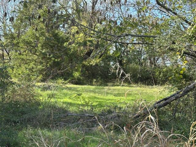 Land for sale in Delta, Texas
