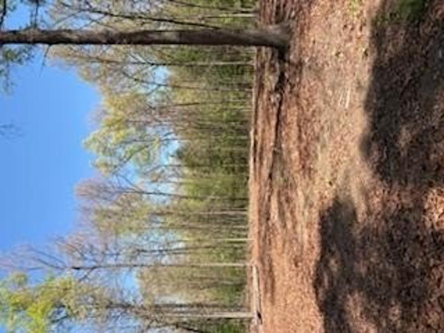 Land for sale in Tennessee