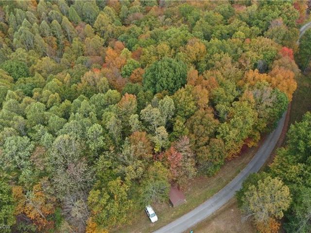 Land for sale in Grantsville, West Virginia