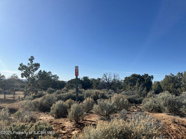 Land for sale in Navajo Dam, New Mexico