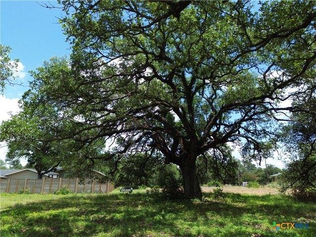 Land for sale in Salado, Texas