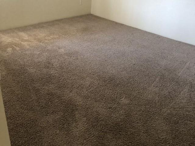 Apartment for rent in Sylmar Neighborhood Council District, Canoga Park