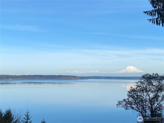 House for sale in Thurston, Washington