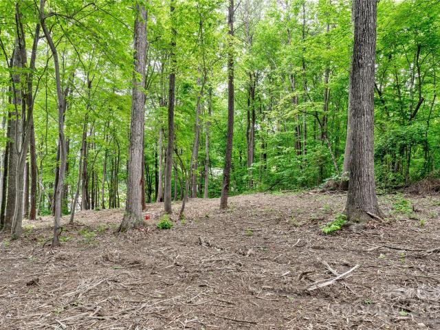 Land for sale in Catawba, North Carolina