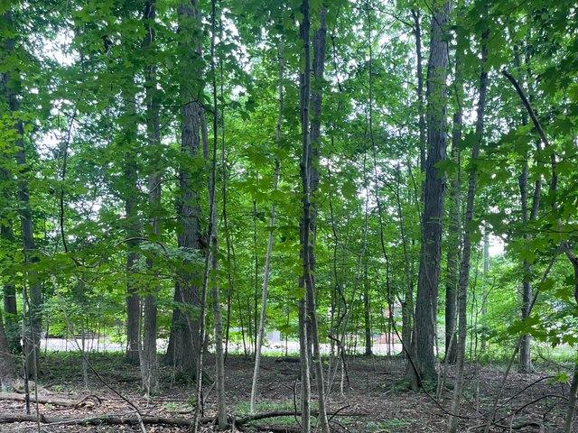 Land for sale in Morrow, Ohio