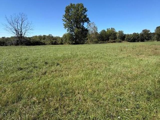 Land for sale in Mount Gilead, Morrow County