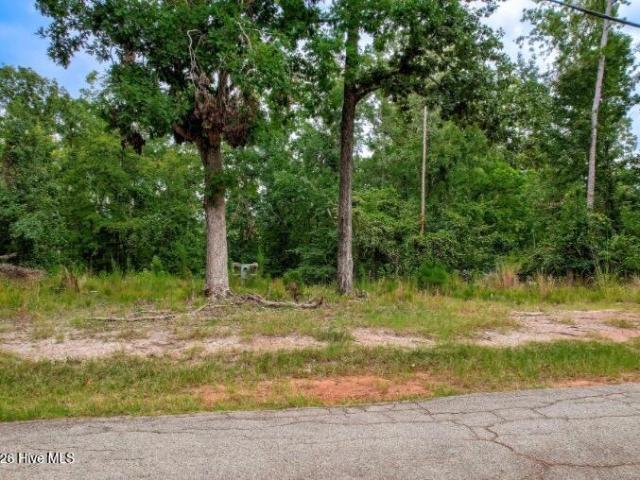 Land for sale in Appling, Georgia