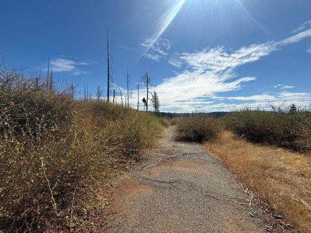 Land for sale in Grizzly Flats, El Dorado County
