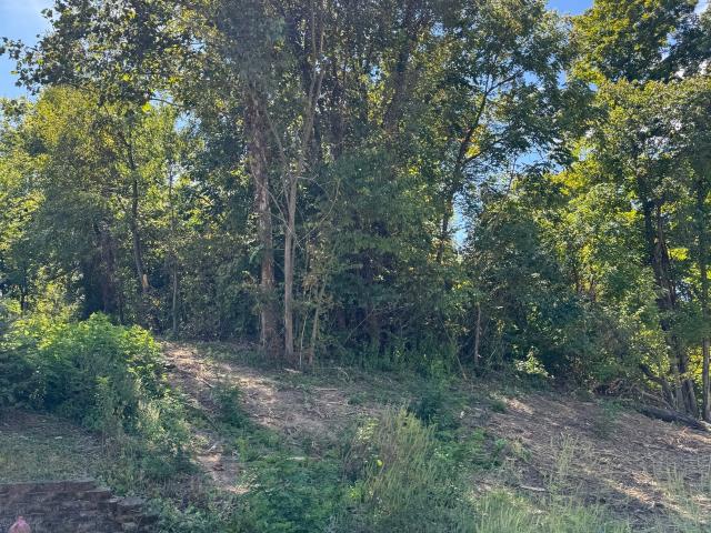 Land for sale in Spencer, Indiana