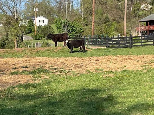 Commercial for sale in Paw Paw, West Virginia