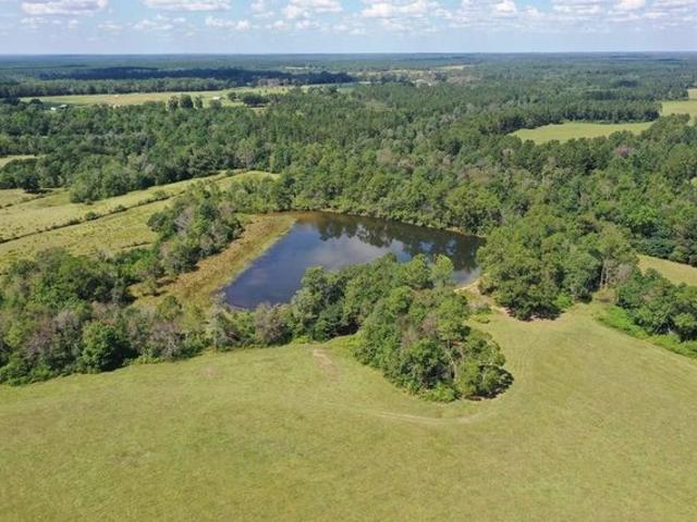 Land for sale in Poplarville, Mississippi
