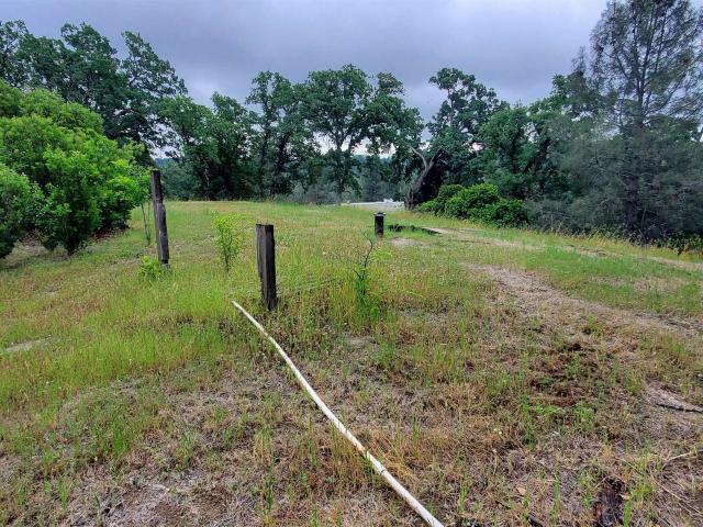 Land for sale in Corning, California
