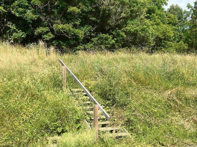 Land for sale in Jane Lew, West Virginia