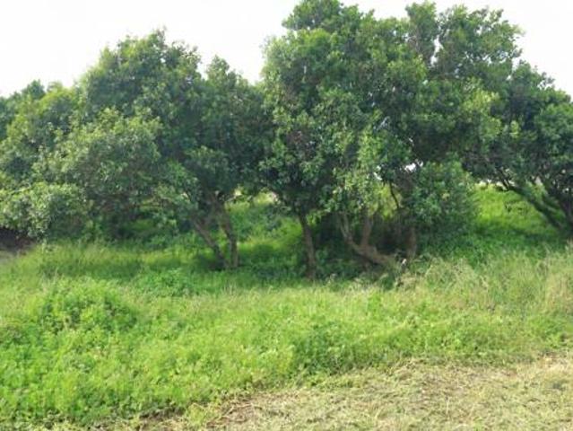Land for sale in Jeffreys Bay, Kouga Local Municipality