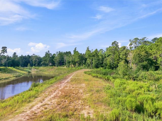 Land for sale in Montgomery, Texas