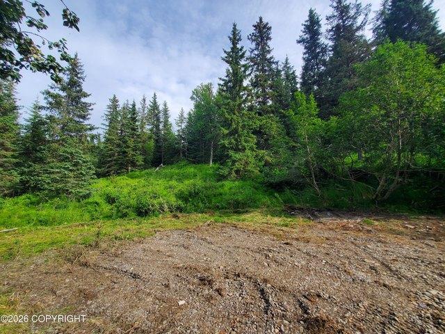Land for sale in Anchor Point