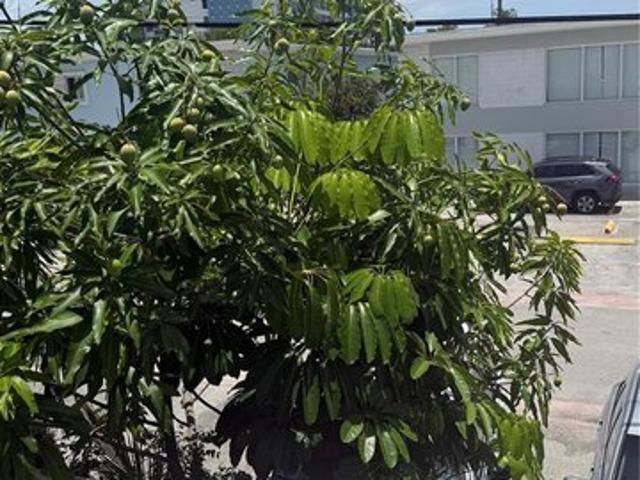 Townhouse for sale in Miami Beach, Florida
