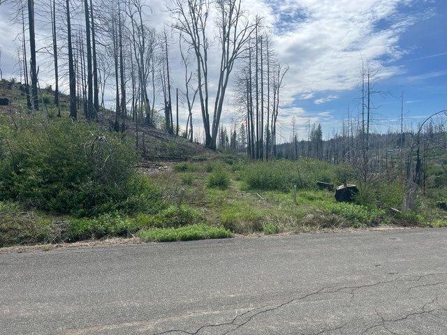Land for sale in Grizzly Flats, California