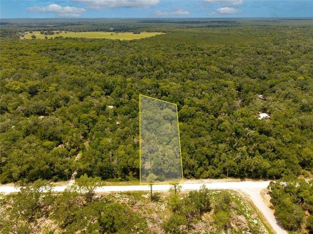 Land for sale in Webster, Florida