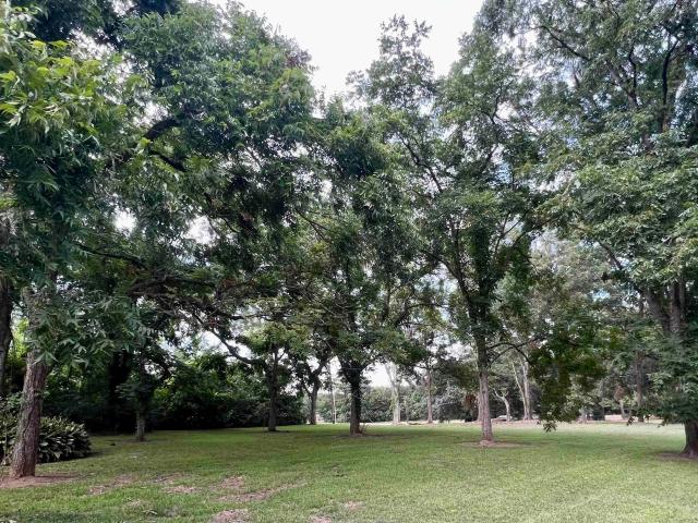 Land for sale in Saint Francisville, Louisiana