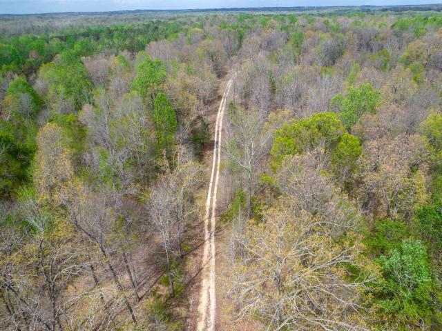 Land for sale in Tennessee