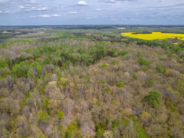 Farm for sale in Tennessee