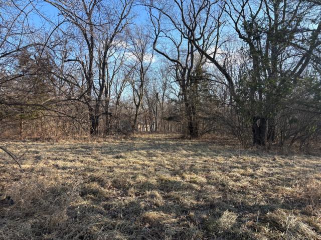 Land for sale in Marshall, Illinois