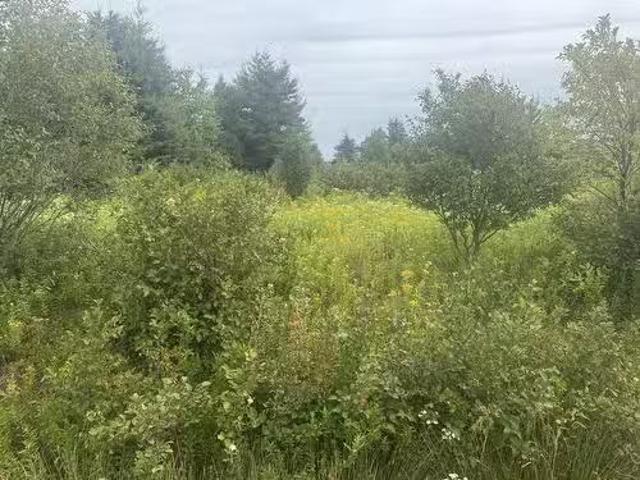 House for sale in Prince Edward Island