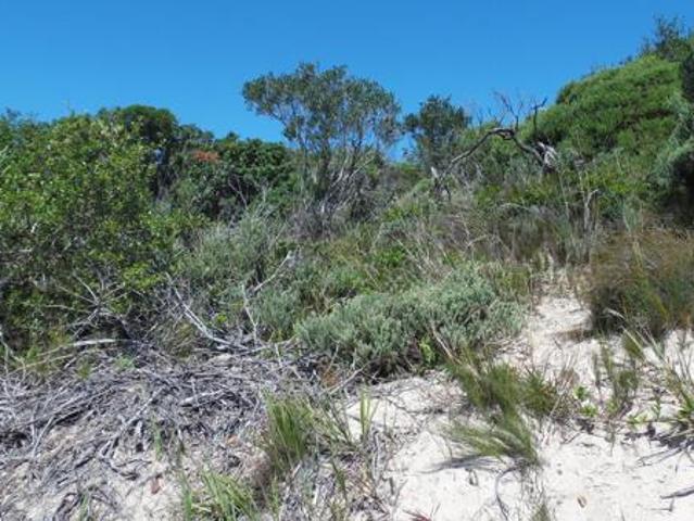 Land for sale in Cape St Francis, Eastern Cape