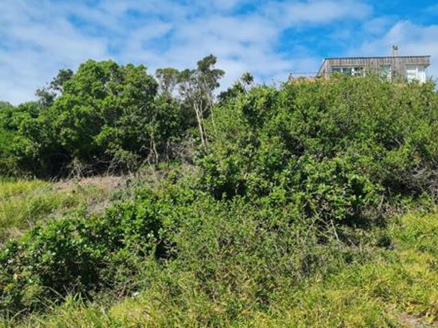 Land for sale in Cape St Francis, Eastern Cape