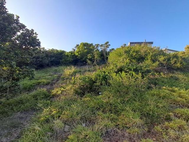Land for sale in Cape St Francis, Eastern Cape