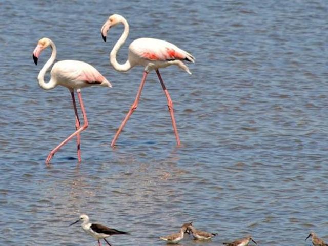 Land for sale in Cape St Francis, Eastern Cape