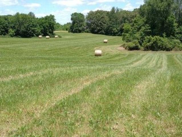 Land for sale in Simpson, Kentucky