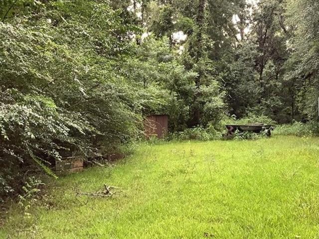 Land for sale in Jasper, Texas