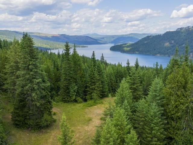 Land for sale in Kendrick, Idaho