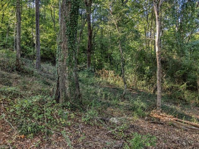 Land for sale in Shannon Hills, Middle Valley