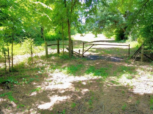 Land for sale in Grapeland, Texas