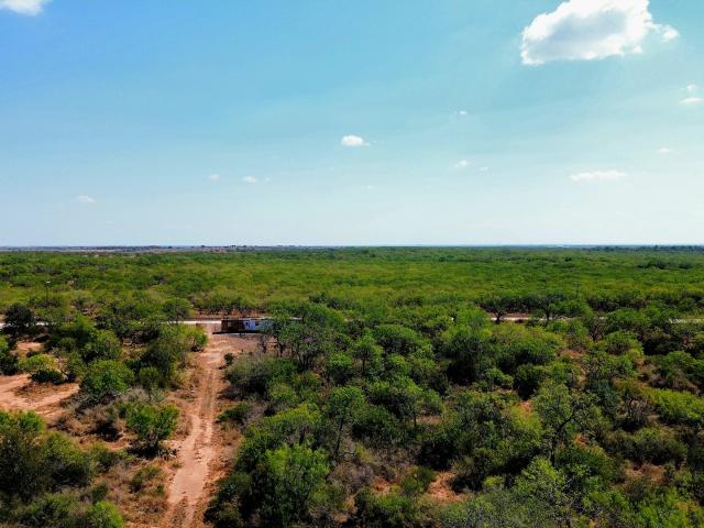 Land for sale in Pleasanton, Texas
