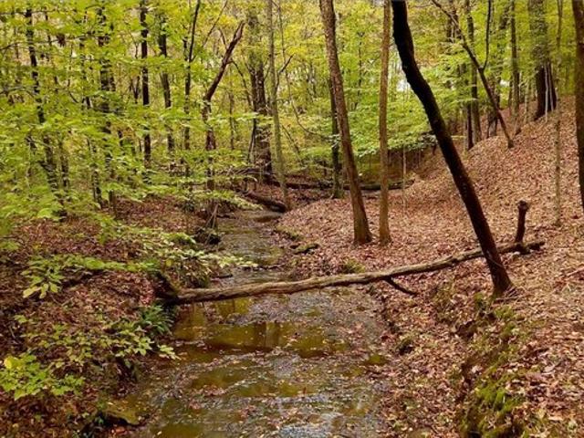 Land for sale in Tennessee