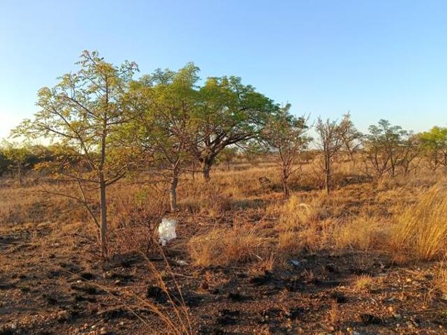 Land for sale in Seshego, Limpopo