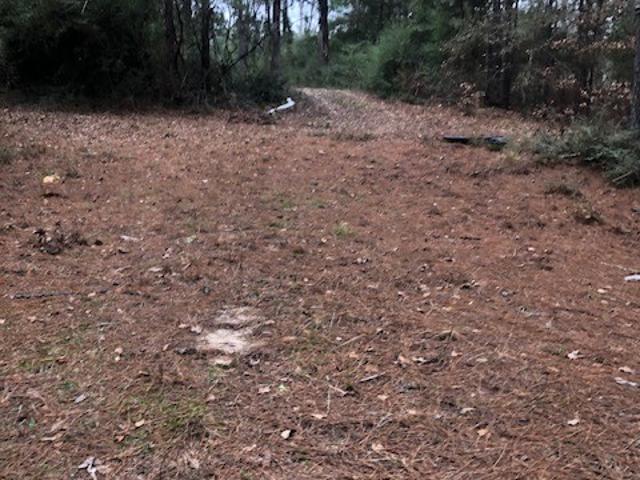 Land for sale in Leon, Texas