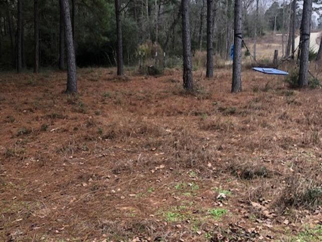 Land for sale in Leon, Texas