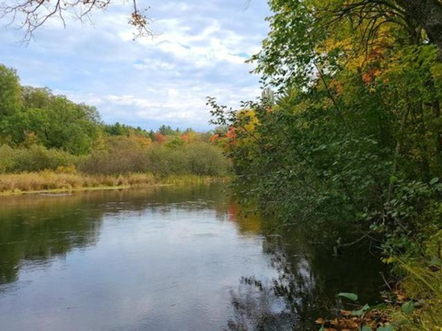Land for sale in Webster, Wisconsin