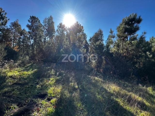 Terreno venda em Campo, Viseu