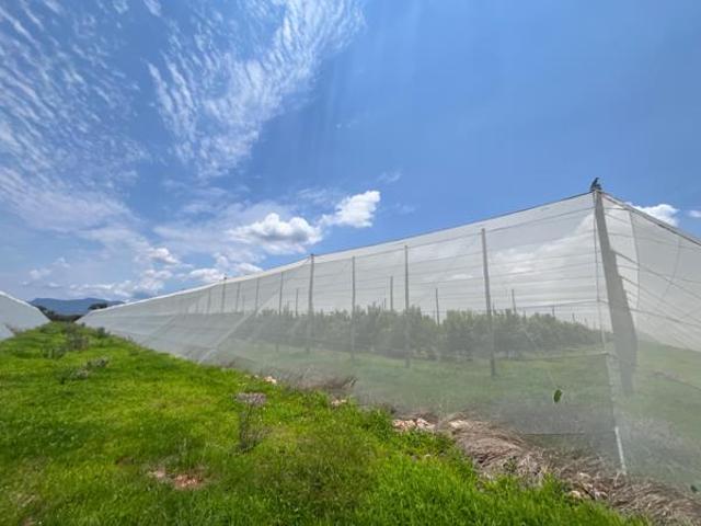 Farm for sale in Alldays, Limpopo