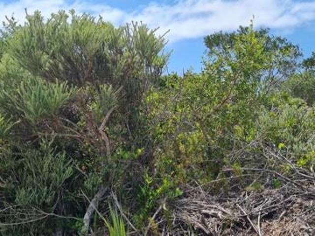 Land for sale in Cape St Francis, Eastern Cape