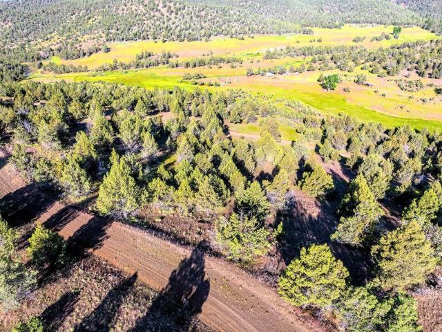 Land for sale in Alturas, Modoc County