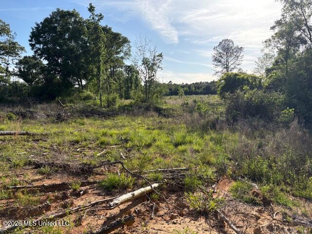 Land for sale in Mississippi