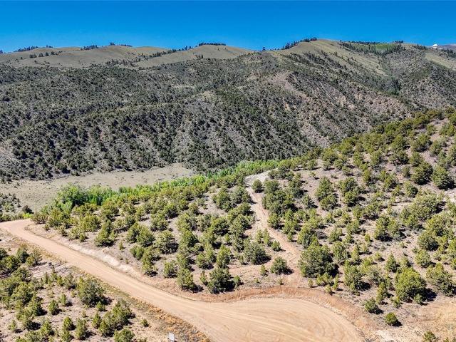 Land for sale in Chaffee, Colorado